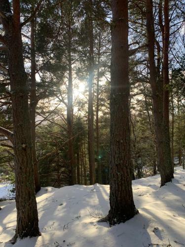The One - Chalet In The Cairngorms