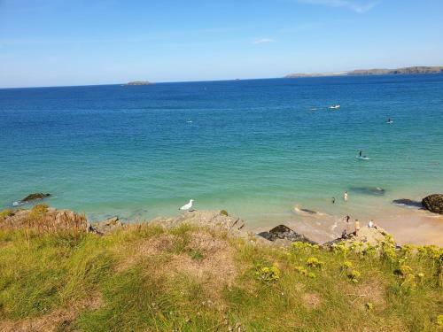 Detached Bungalow In North Cornwall