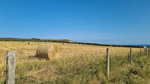 Detached Bungalow In North Cornwall