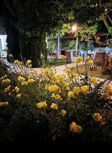 Hotel Tonratun Ashtarak