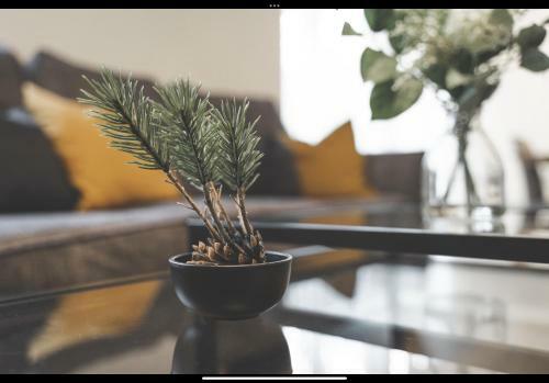 Apartamento The Whetstone