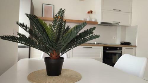 Nigi's Apartament