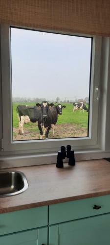 La Vache Au Lit