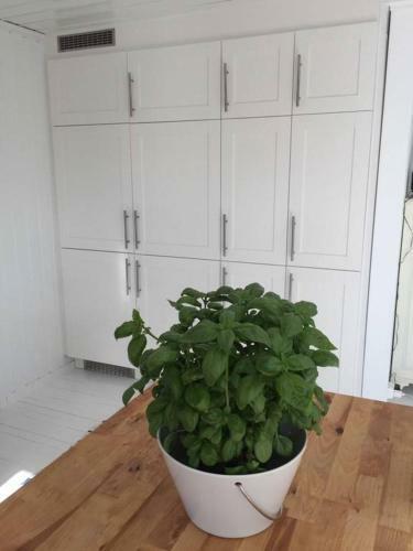 Holms�sen Cottage With Incredibly Sunny Terrace And Boat