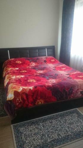 Vila Nature - Rosia Montana