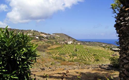 Apartamento I Dammusi Di Punta Karace