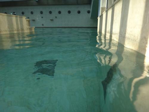 Hotel Delle Terme Di Venturina
