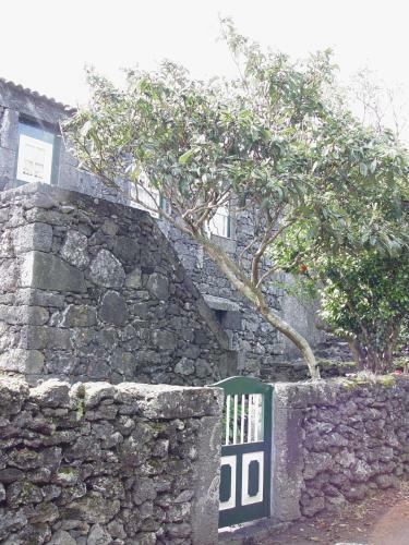 Hostal Casas De Campo Housesinpico