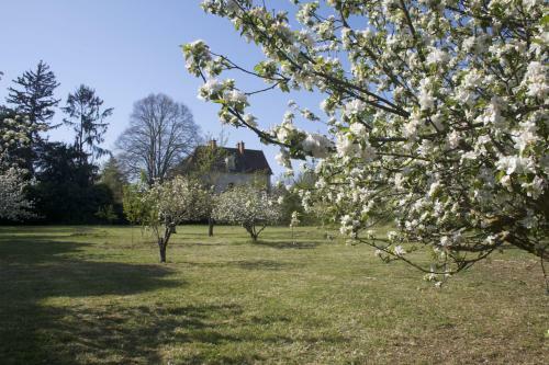Bed & Breakfast Ch�teau Des Edelins