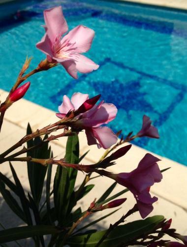 Bed & Breakfast L'autre Maison