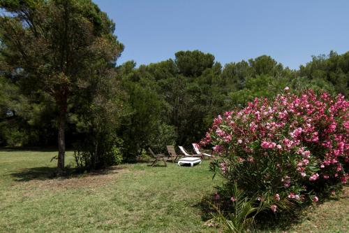Bed & Breakfast Un Nid En Camargue