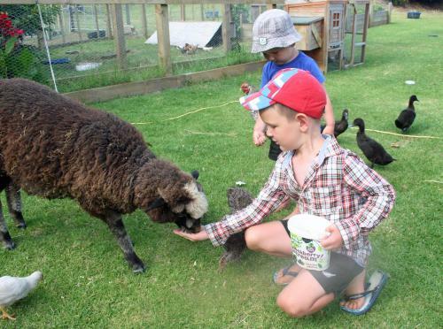 Pukenui Holiday Park