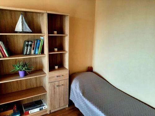 Apartamento Dzintaru 97