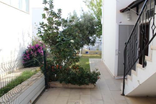 Bodrum Fenerburnu Villa