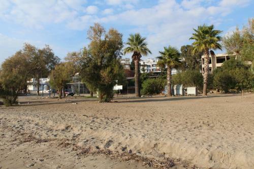 Bodrum Fenerburnu Villa