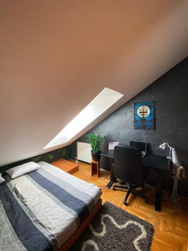 Apartment 313