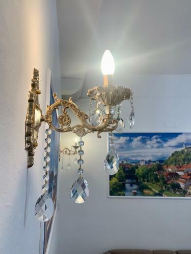 Ljubljana City Center Apartment