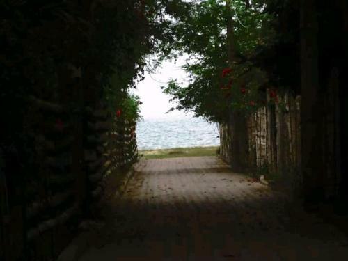 Hotel M�ndala Monta�ita