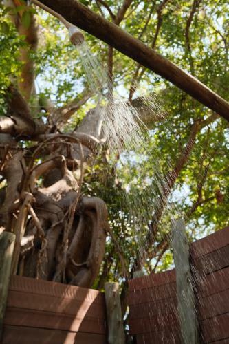 Beneath The Baobabs