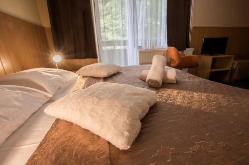 Hotel Babsk�