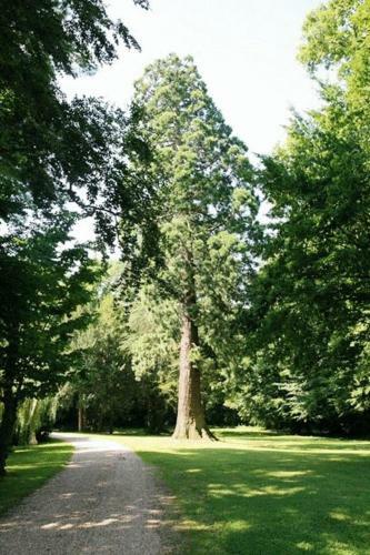 Bed & Breakfast Ch�teau Le Briou D'autry