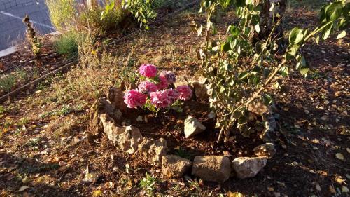 Hotel H�tel Montespan
