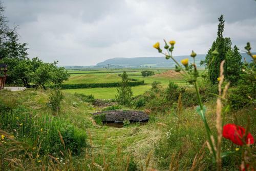 Lyth Valley View At Broom Bank