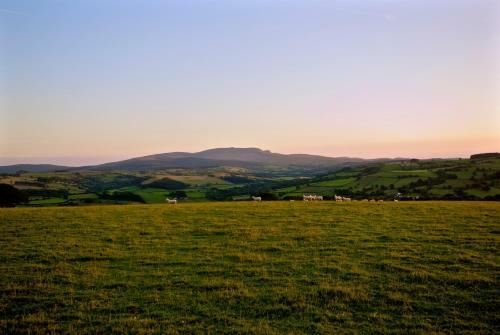 Bell Tent