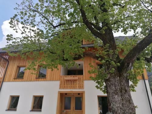 Apartments Gorski Raj