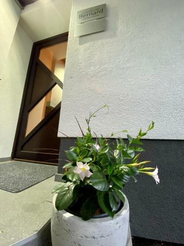 Apartma Bernard