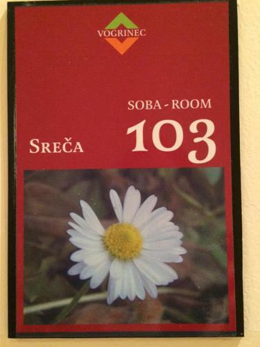 Hostal Apartments-rooms Vogrinec