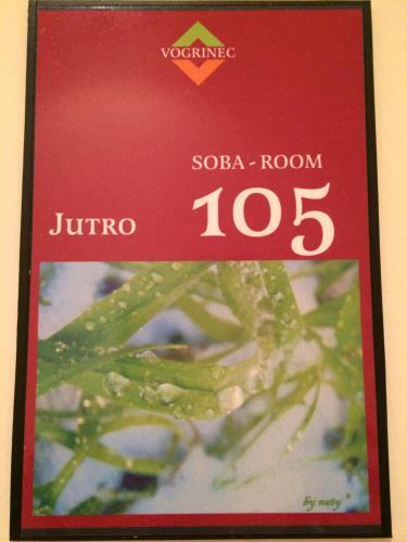 Hostal Apartments-rooms Vogrinec