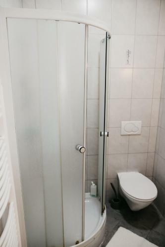 Hostal Apartments-rooms Vogrinec