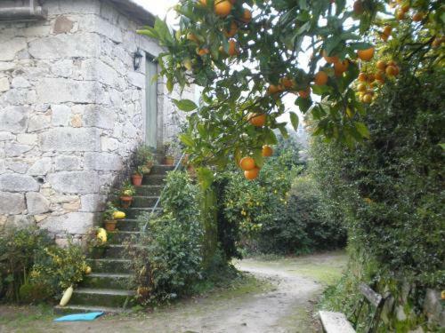 Hostal Quinta De S.vicente