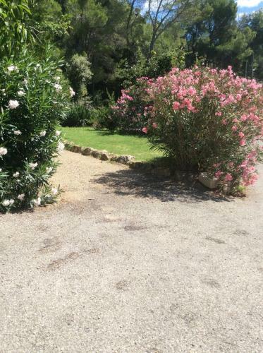 Hotel H�tel Le Rocher