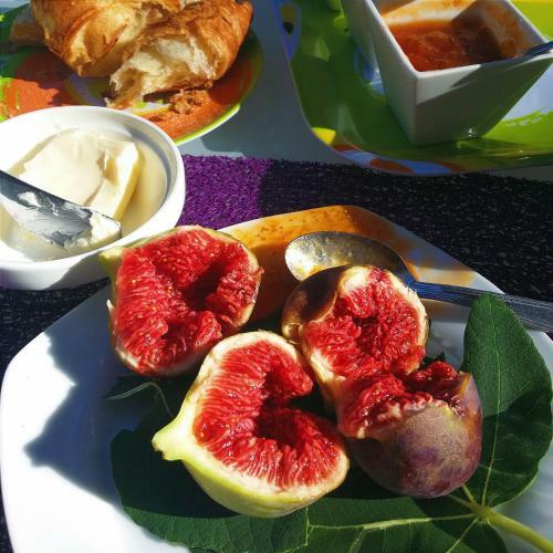 Bed & Breakfast Le Lavandin