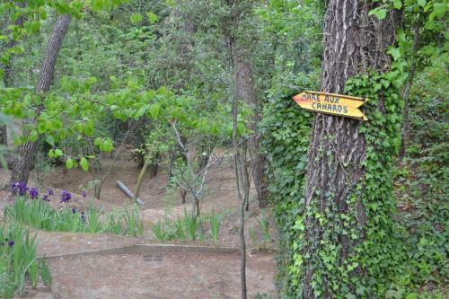 Bed & Breakfast Le Lavandin
