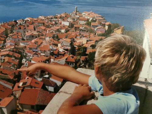Albergue Traditional Piran House