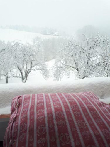 Bed & Breakfast Mala Kmetija