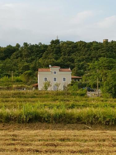 Apartamento Vila Flora