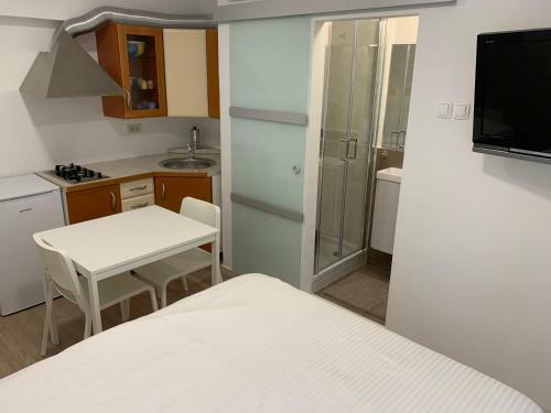 Apartment Studio Salvetti