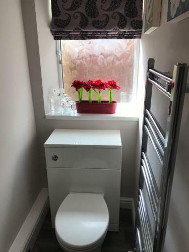 Apartamento Blackpool Holiday Lets -gf Regent Road