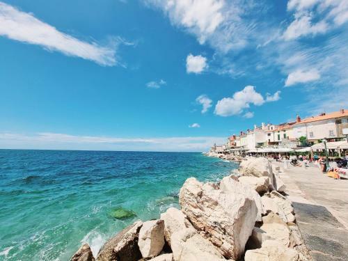 Apartamento Hi?a Delfinov - Old Piran Dolphin House