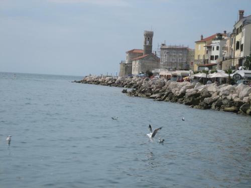 Apartamento Hi?a Delfinov - Old Piran Dolphin House