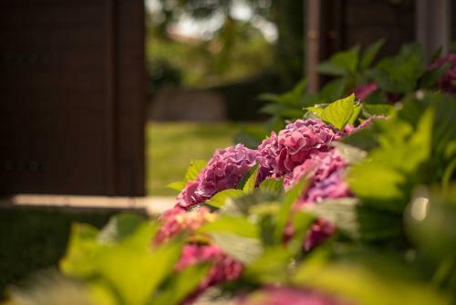 Tmbin's Barn - Nature, Horses, Family