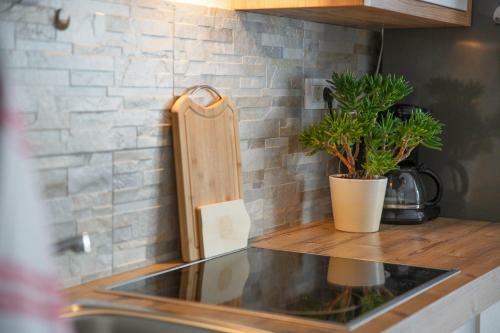Apartma Natura Kope