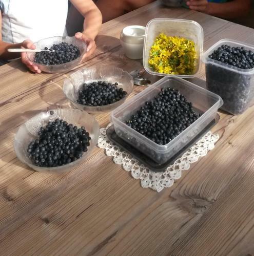 Apartma Natura Kope