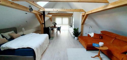 Apartment P42