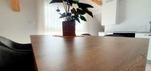 Apartment P42