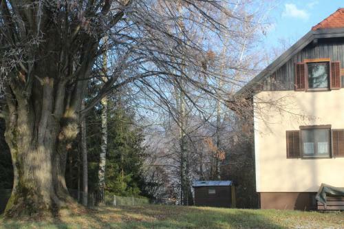 Apartamento Holiday Home Winzerhaus Eva